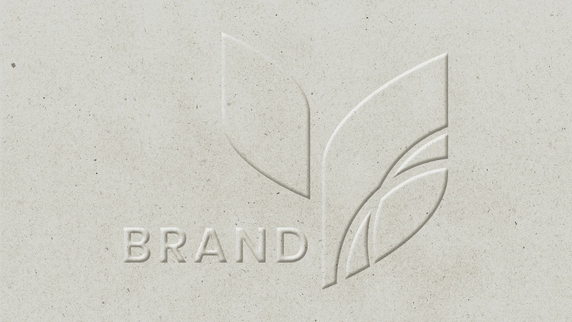 Embossing in Plymouth, MN | 5 Reasons to Emboss Your Packaging